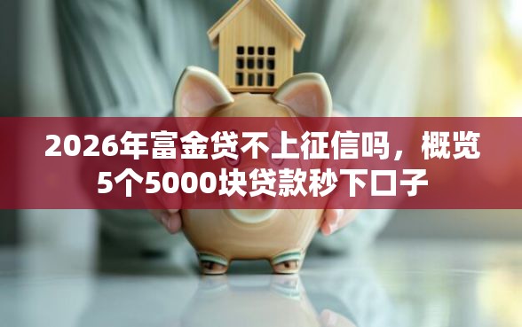 2026年富金贷不上征信吗，概览5个5000块贷款秒下口子