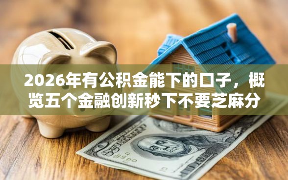 2026年有公积金能下的口子，概览五个金融创新秒下不要芝麻分的软件