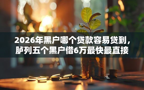 2026年黑户哪个贷款容易贷到，胪列五个黑户借6万最快最直接的渠道