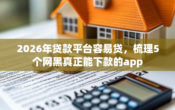 2026年贷款平台容易贷，梳理5个网黑真正能下款的app