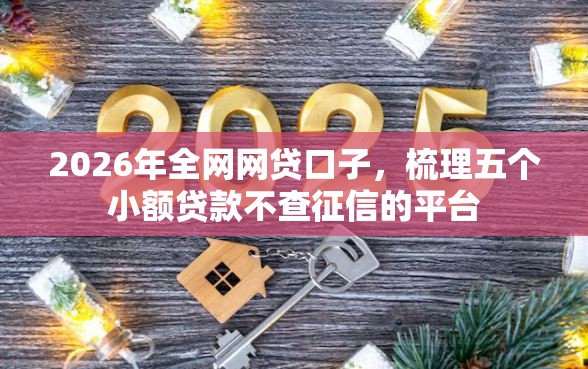 2026年全网网贷口子，梳理五个小额贷款不查征信的平台