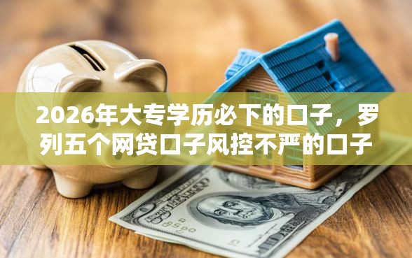 2026年大专学历必下的口子，罗列五个网贷口子风控不严的口子