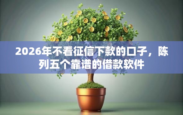 2026年不看征信下款的口子，陈列五个靠谱的借款软件