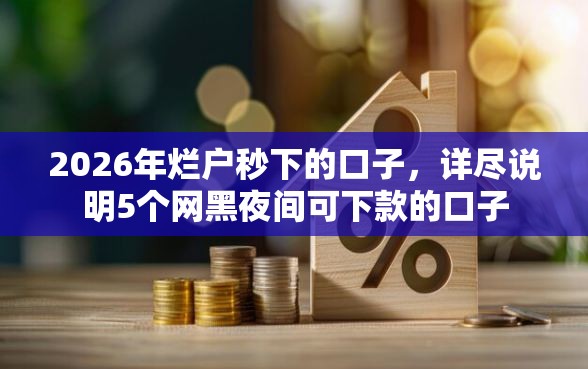 2026年烂户秒下的口子，详尽说明5个网黑夜间可下款的口子