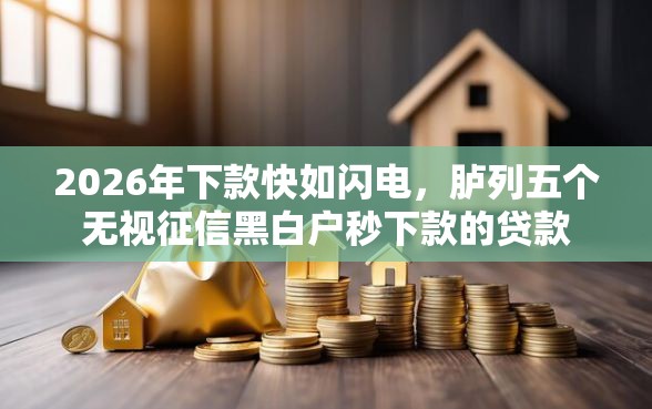 2026年下款快如闪电，胪列五个无视征信黑白户秒下款的贷款