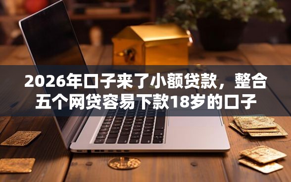 2026年口子来了小额贷款，整合五个网贷容易下款18岁的口子