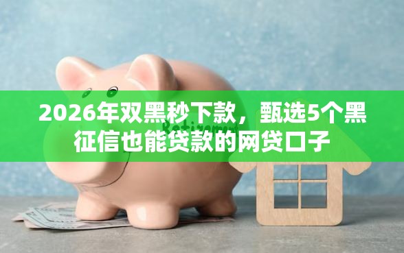 2026年双黑秒下款，甄选5个黑征信也能贷款的网贷口子