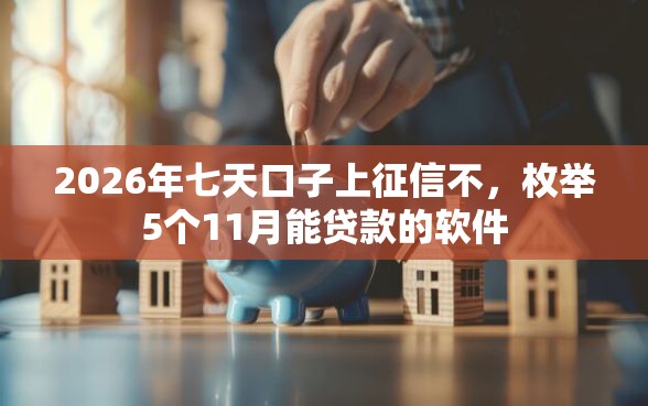 2026年七天口子上征信不，枚举5个11月能贷款的软件