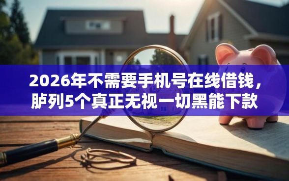 2026年不需要手机号在线借钱，胪列5个真正无视一切黑能下款口子
