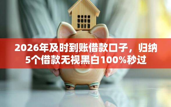 2026年及时到账借款口子，归纳5个借款无视黑白100%秒过