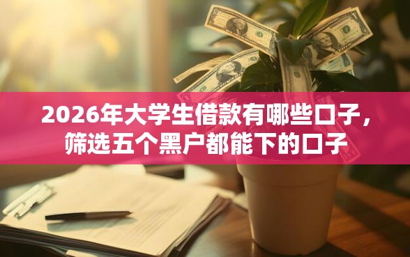 2026年大学生借款有哪些口子，筛选五个黑户都能下的口子