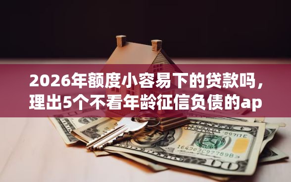 2026年额度小容易下的贷款吗，理出5个不看年龄征信负债的app