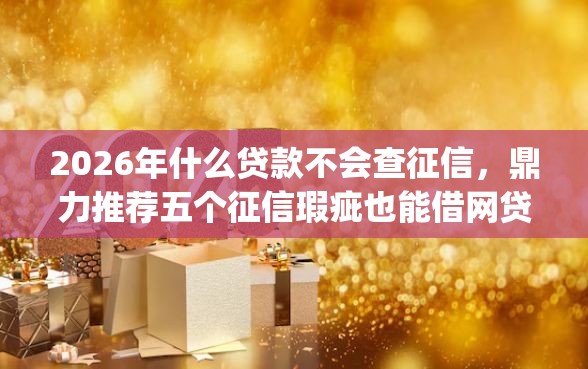 2026年什么贷款不会查征信，鼎力推荐五个征信瑕疵也能借网贷轻松下款的app