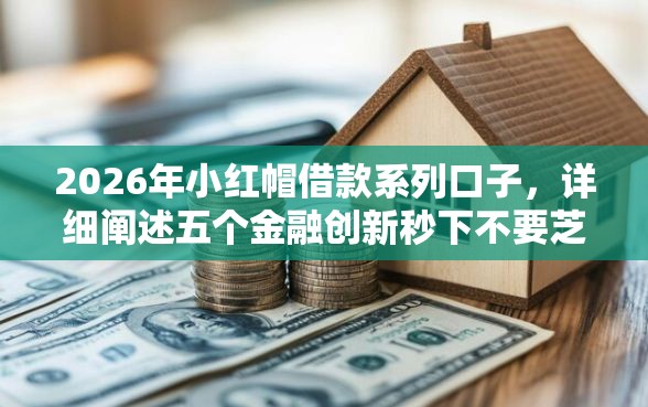 2026年小红帽借款系列口子，详细阐述五个金融创新秒下不要芝麻分的口子
