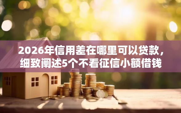 2026年信用差在哪里可以贷款，细致阐述5个不看征信小额借钱的平台
