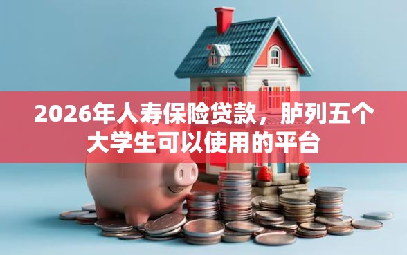 2026年人寿保险贷款，胪列五个大学生可以使用的平台