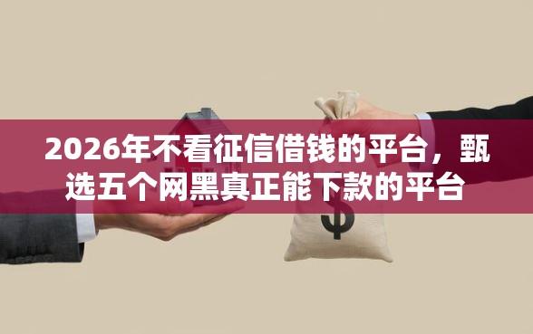 2026年不看征信借钱的平台，甄选五个网黑真正能下款的平台