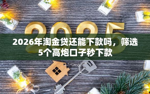 2026年淘金贷还能下款吗，筛选5个高炮口子秒下款