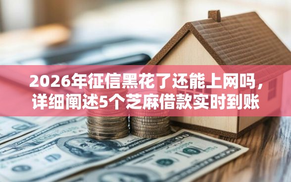 2026年征信黑花了还能上网吗，详细阐述5个芝麻借款实时到账速借平台
