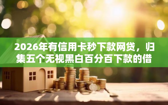 2026年有信用卡秒下款网贷,归集五个无视黑白百分百下款的借款口子 2026年有信用卡秒下款网贷,归集五个无视黑白百分百下款的借款口子