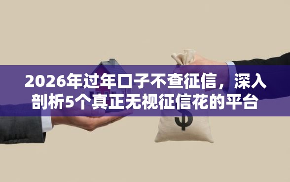 2026年过年口子不查征信，深入剖析5个真正无视征信花的平台