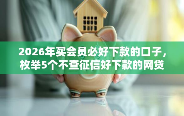 2026年买会员必好下款的口子，枚举5个不查征信好下款的网贷口子