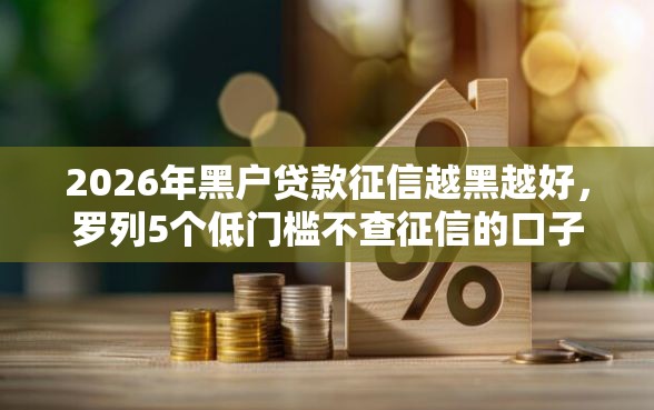 2026年黑户贷款征信越黑越好，罗列5个低门槛不查征信的口子