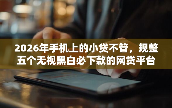 2026年手机上的小贷不管，规整五个无视黑白必下款的网贷平台