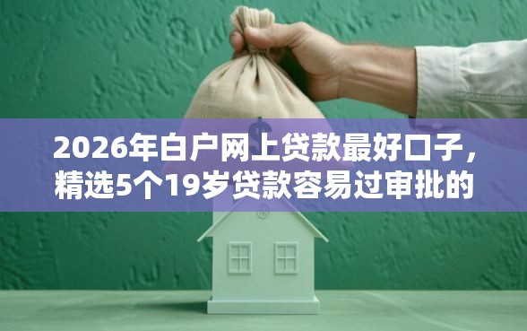 2026年白户网上贷款最好口子，精选5个19岁贷款容易过审批的口子