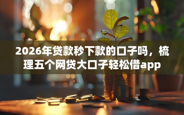 2026年贷款秒下款的口子吗，梳理五个网贷大口子轻松借app
