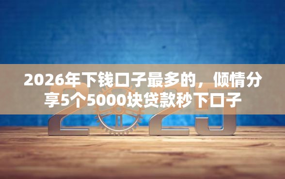 2026年下钱口子最多的，倾情分享5个5000块贷款秒下口子