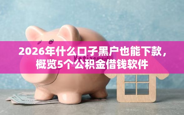 2026年什么口子黑户也能下款，概览5个公积金借钱软件
