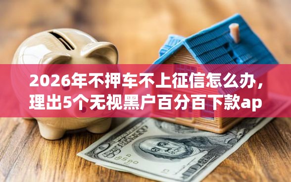 2026年不押车不上征信怎么办，理出5个无视黑户百分百下款app