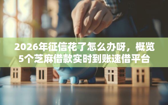 2026年征信花了怎么办呀，概览5个芝麻借款实时到账速借平台