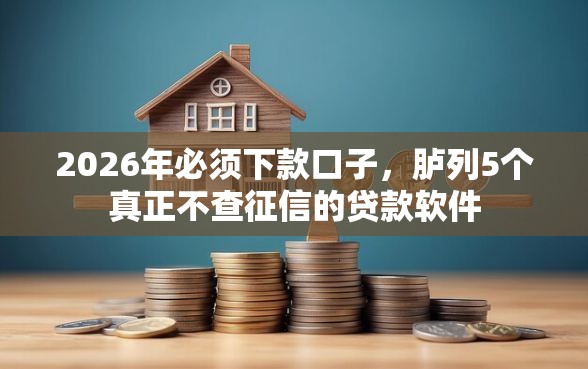 2026年必须下款口子,胪列5个真正不查征信的贷款软件 2026年必须下款口子,胪列5个真正不查征信的贷款软件