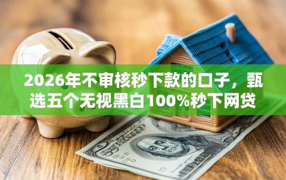 2026年不审核秒下款的口子，甄选五个无视黑白100%秒下网贷口子