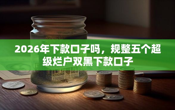 2026年下款口子吗，规整五个超级烂户双黑下款口子