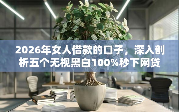 2026年女人借款的口子，深入剖析五个无视黑白100%秒下网贷小额夜间口子