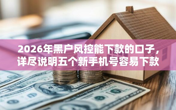 2026年黑户风控能下款的口子，详尽说明五个新手机号容易下款的软件