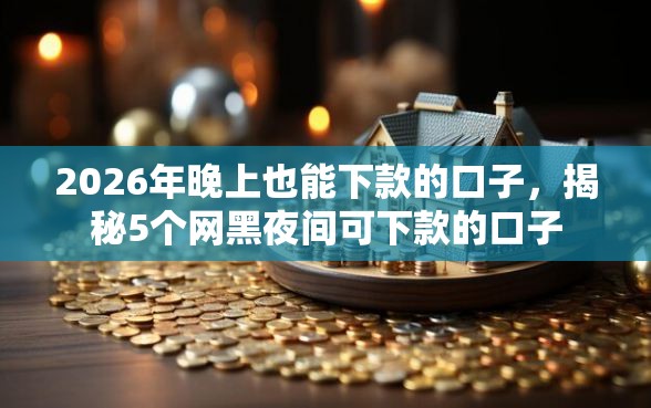 2026年晚上也能下款的口子，揭秘5个网黑夜间可下款的口子