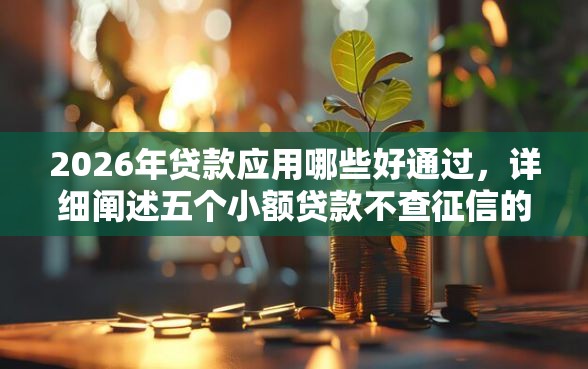 2026年贷款应用哪些好通过，详细阐述五个小额贷款不查征信的平台