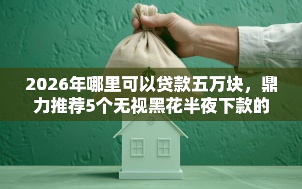 2026年哪里可以贷款五万块，鼎力推荐5个无视黑花半夜下款的网贷口子