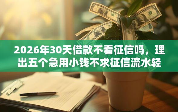 2026年30天借款不看征信吗，理出五个急用小钱不求征信流水轻松贷的软件
