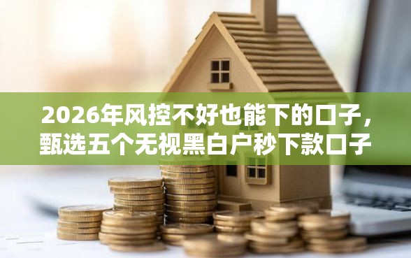 2026年风控不好也能下的口子，甄选五个无视黑白户秒下款口子软件
