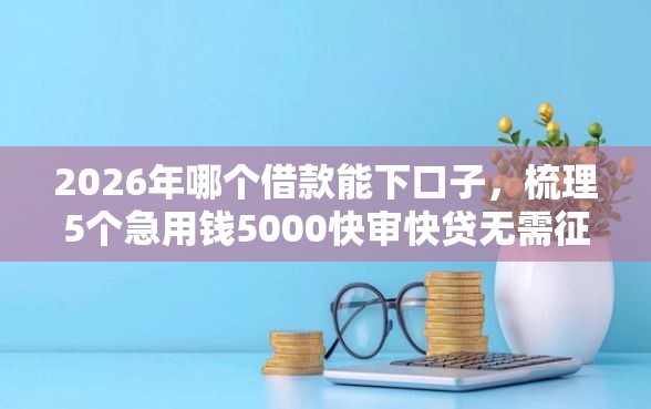 2026年哪个借款能下口子，梳理5个急用钱5000快审快贷无需征信口子