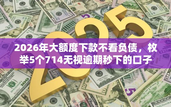 2026年大额度下款不看负债，枚举5个714无视逾期秒下的口子