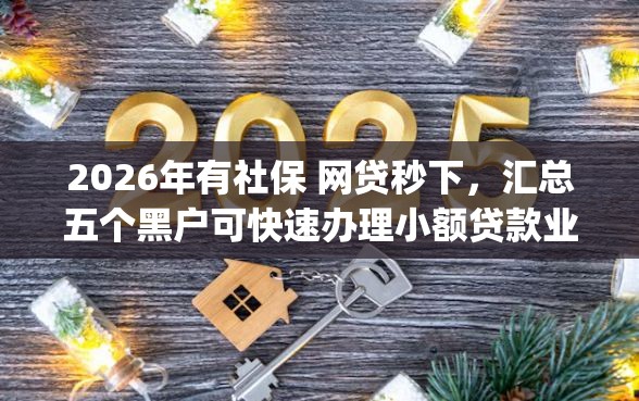 2026年有社保 网贷秒下，汇总五个黑户可快速办理小额贷款业务的app