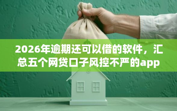 2026年逾期还可以借的软件，汇总五个网贷口子风控不严的app