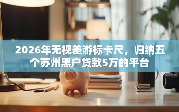 2026年无视差游标卡尺，归纳五个苏州黑户贷款5万的平台