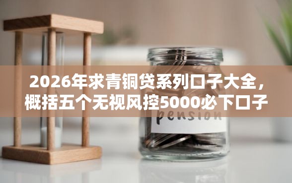 2026年求青铜贷系列口子大全，概括五个无视风控5000必下口子